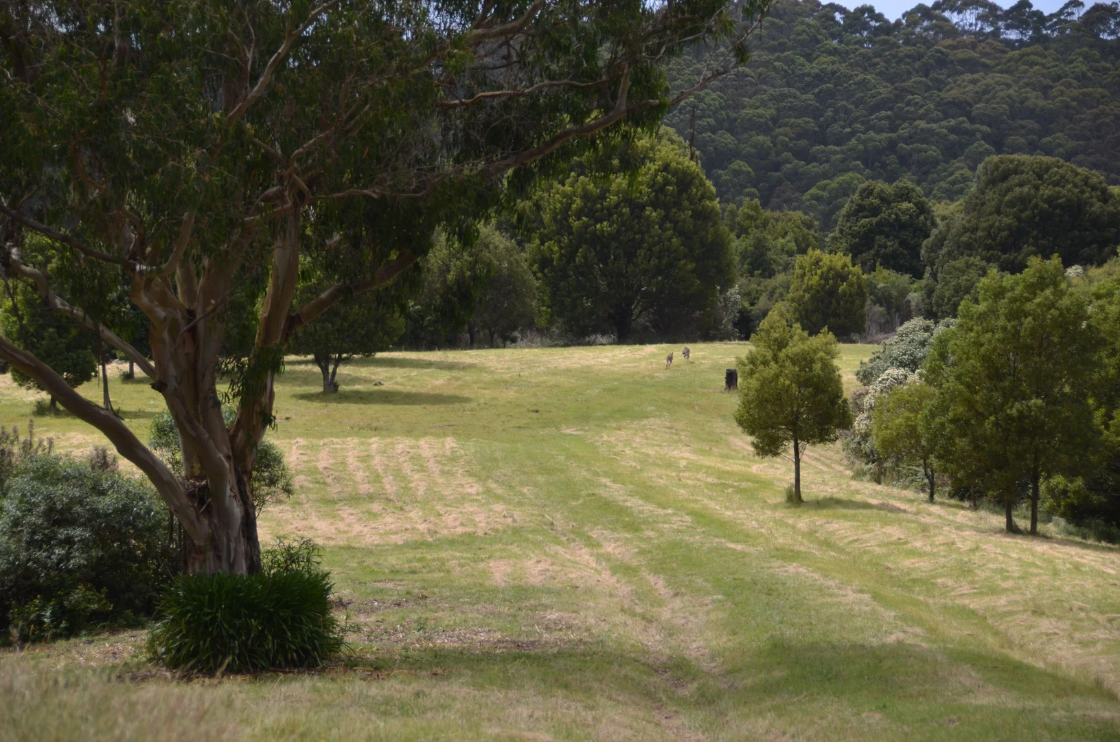Additional image 2 of 45 MELANESIA TRACK, Yuulong VIC 3237