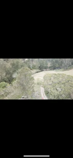 Additional image 16 of 179 Petroi Road, Lower Creek NSW 2440