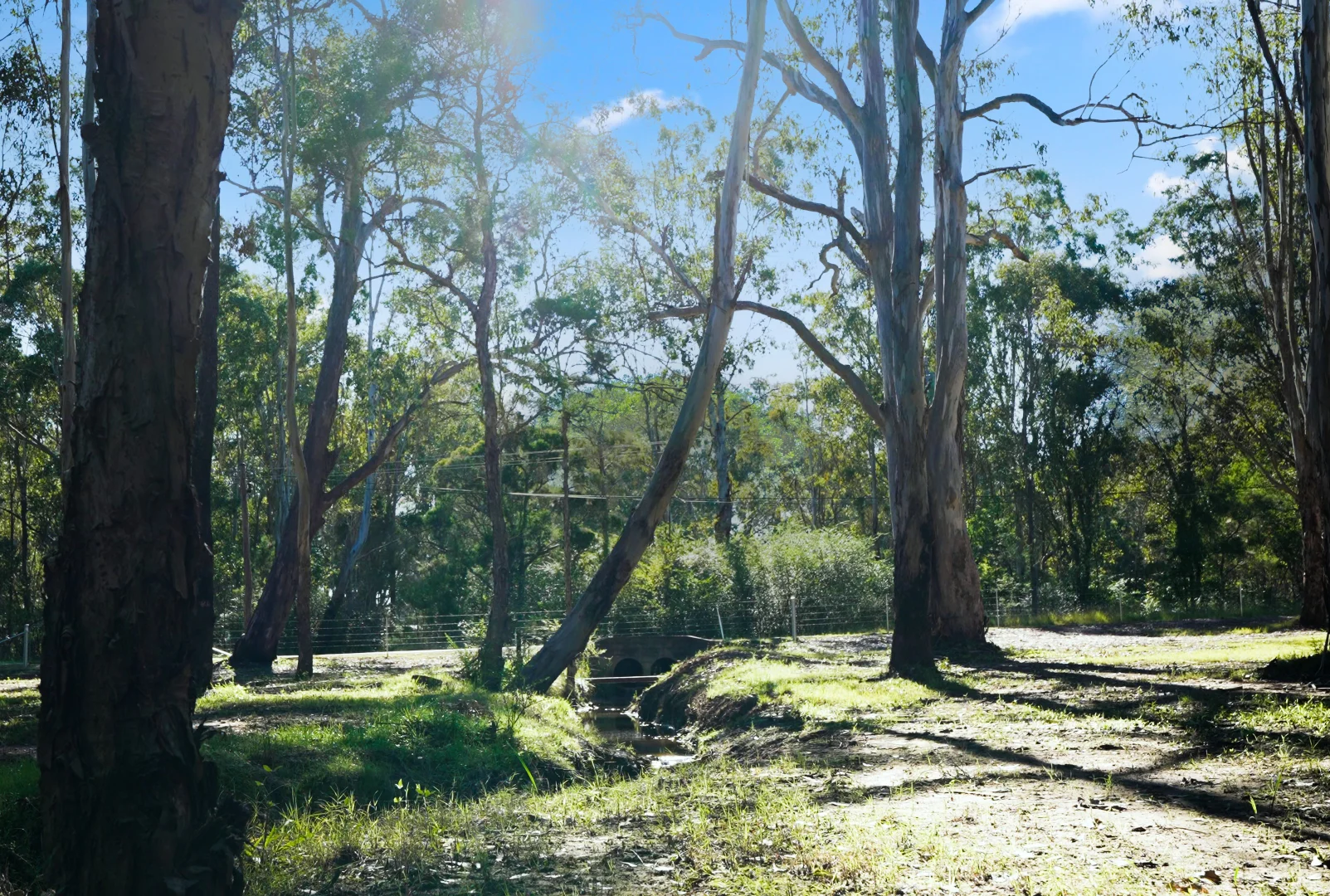 Additional image 22 of 36 Old Pitt Town Road, Pitt Town NSW 2756