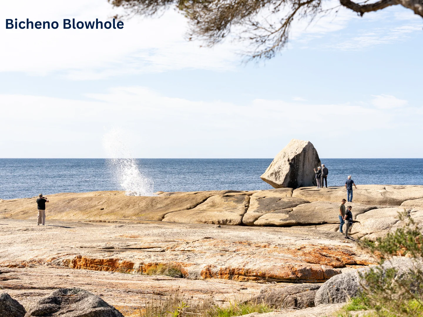 Additional image 18 of 1B Wedge Tail Circuit, Bicheno TAS 7215