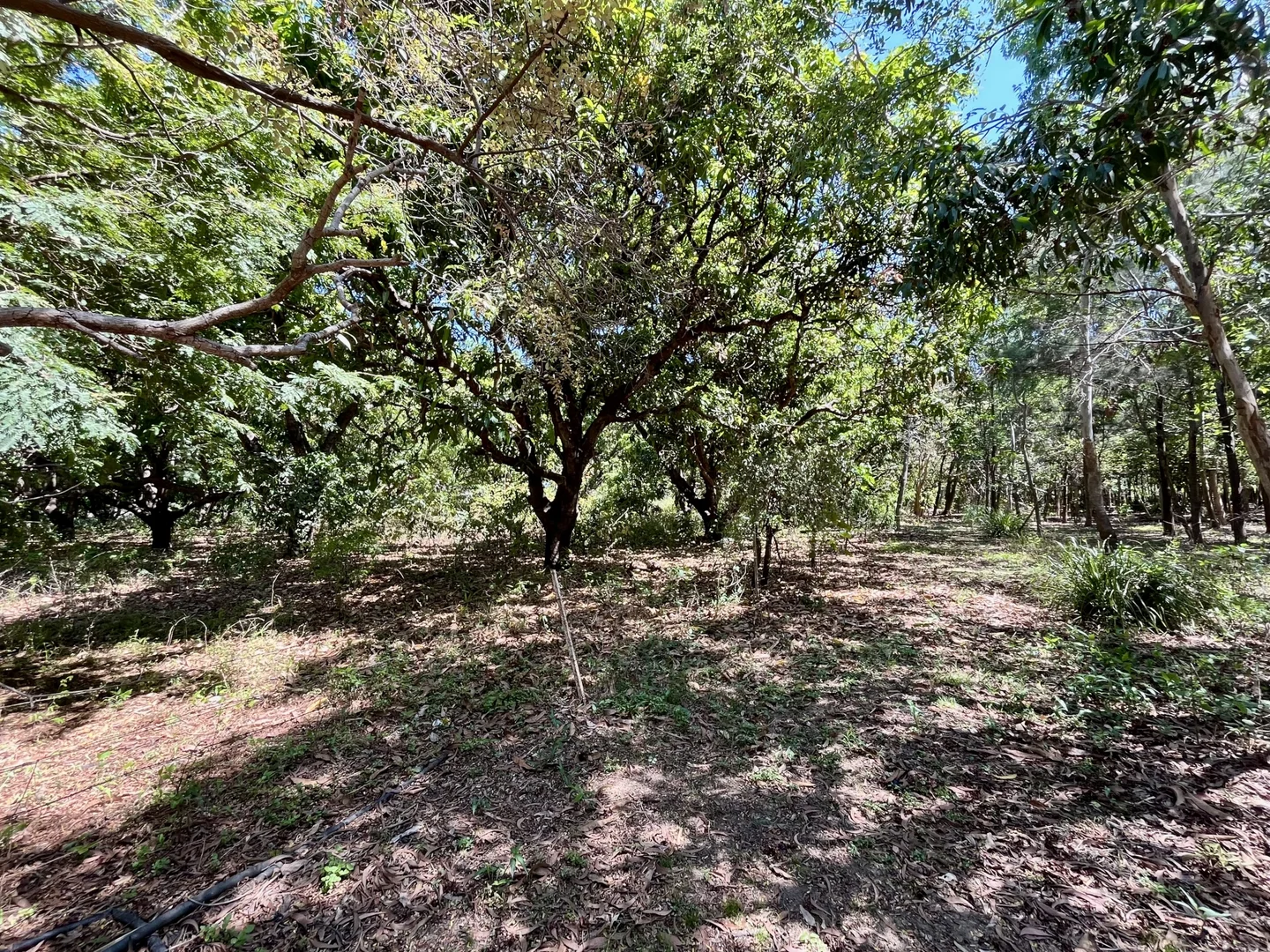 Additional image 9 of 207-217 Wickham Street, Ayr QLD 4807