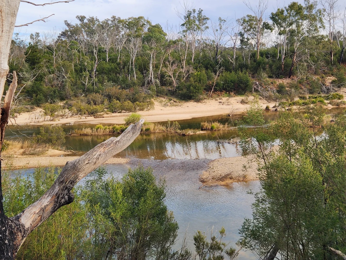 Additional image 15 of 480 Tall Timbers Road, Tomboye NSW 2622