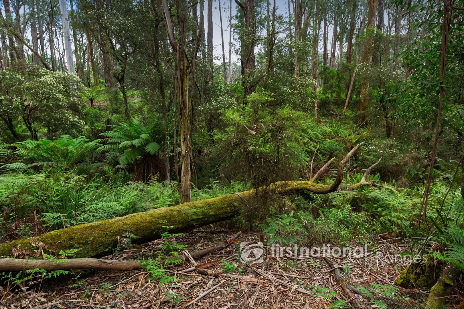 Additional image 15 of 171 Stewart Road, Emerald VIC 3782