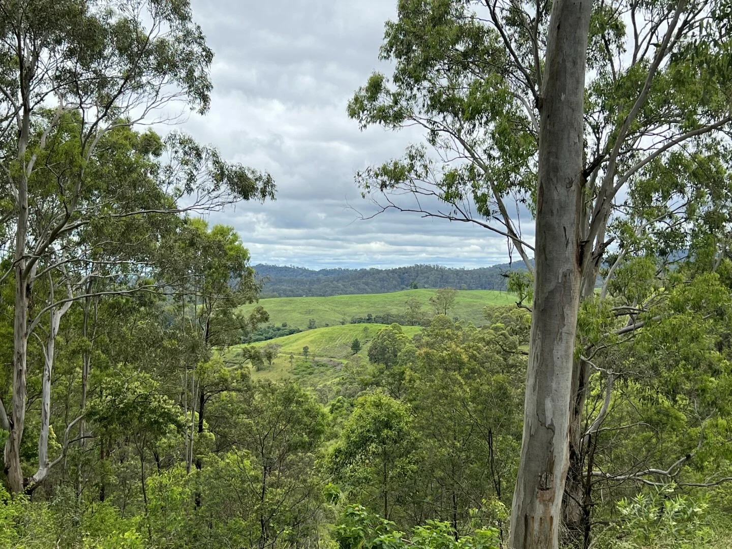 Additional image 33 of 59 Wyndham Road, Wyneden NSW 2474