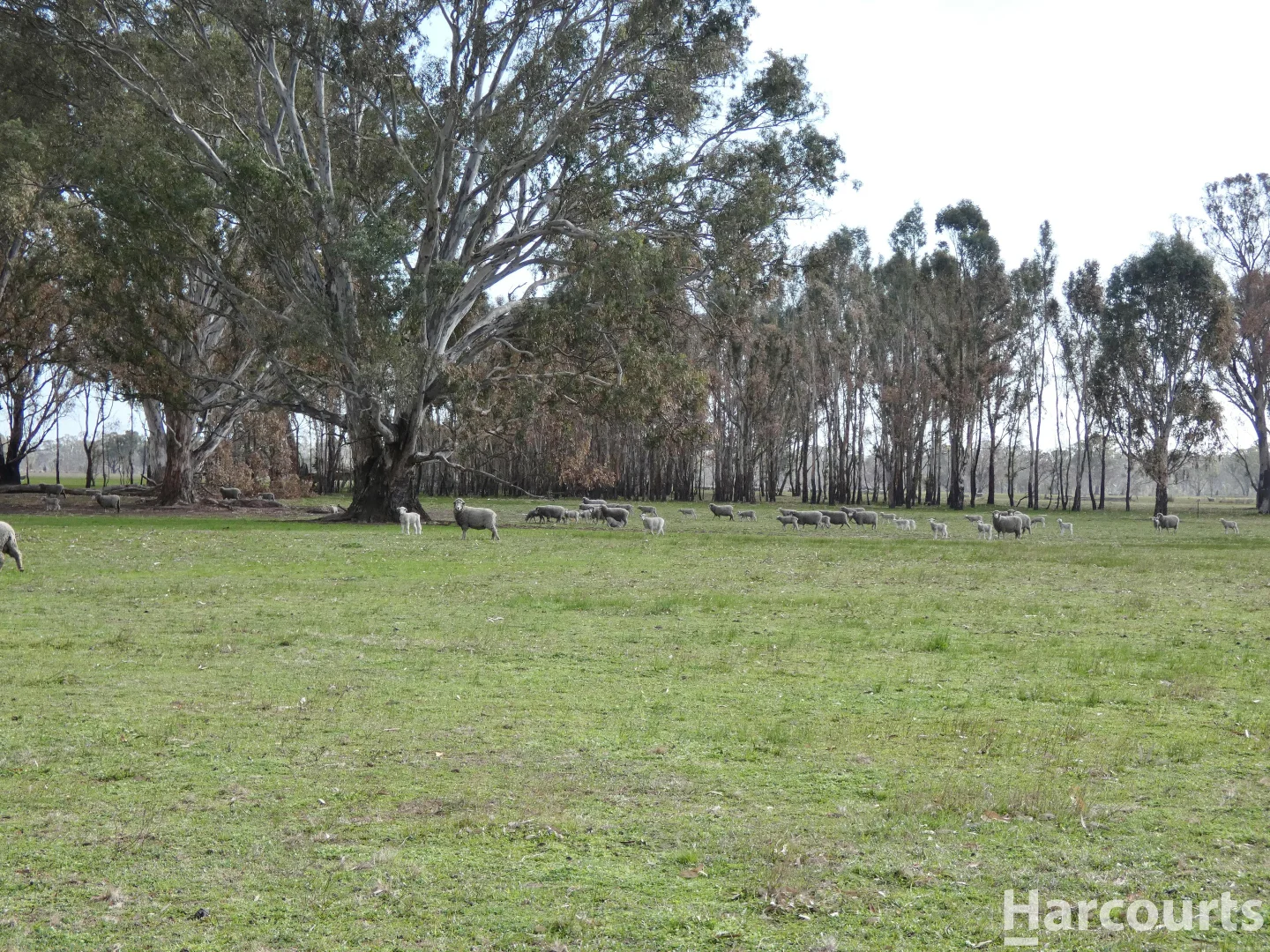 Additional image 8 of 6080 Western Highway, Dadswells Bridge VIC 3385