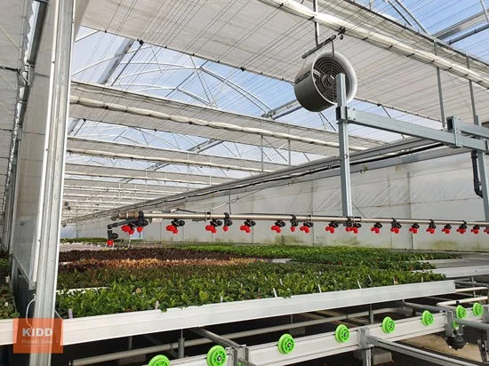 Additional image 3 of Peats Ridge NSW 2250