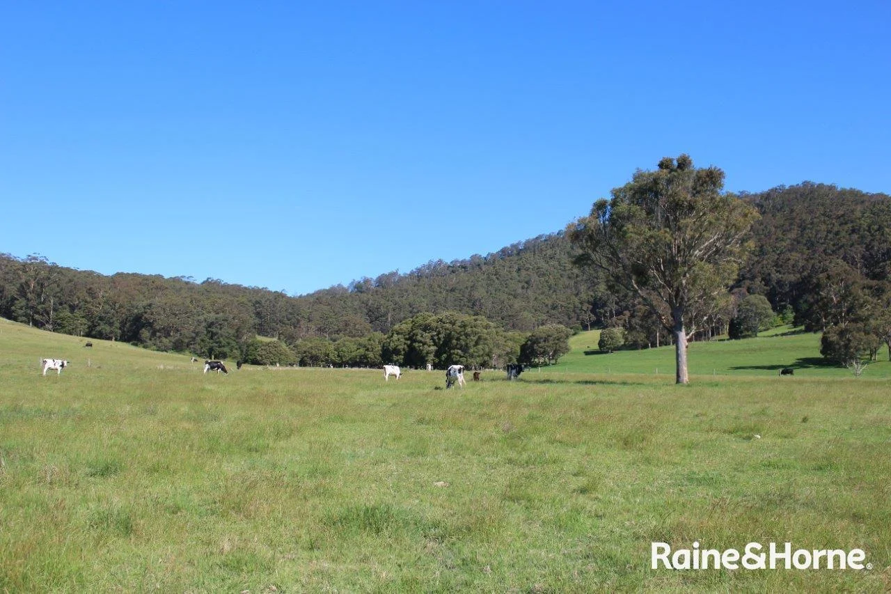 Additional image 6 of Lot 2 Bryces Road, Far Meadow NSW 2535