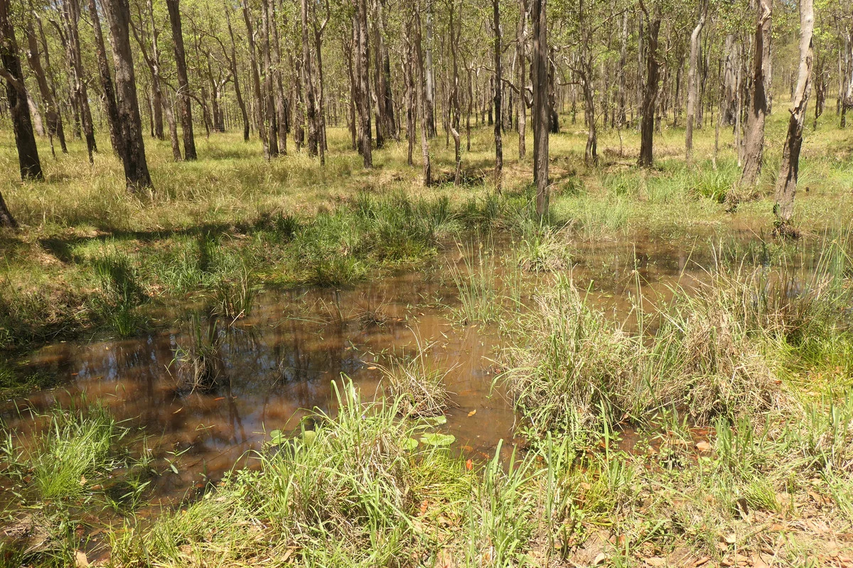 Additional image 13 of 4 Kimbin Pikapene Road, Tabulam NSW 2469