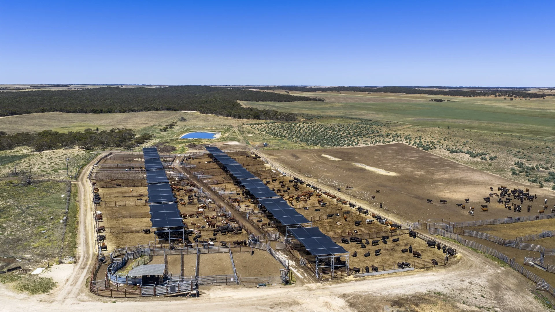 Additional image 11 of 1156 Parrakie North Road, Lameroo SA 5302