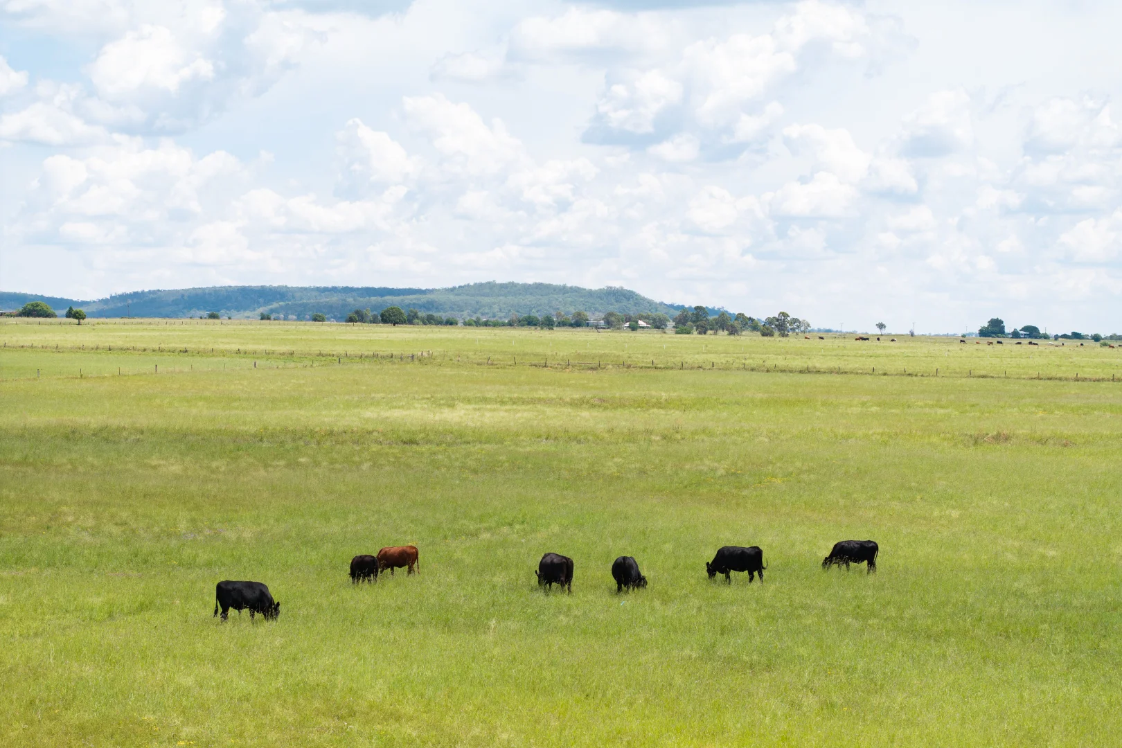 Additional image 3 of "Harmony Heights" 253 Gillam Road, Nobby QLD 4360