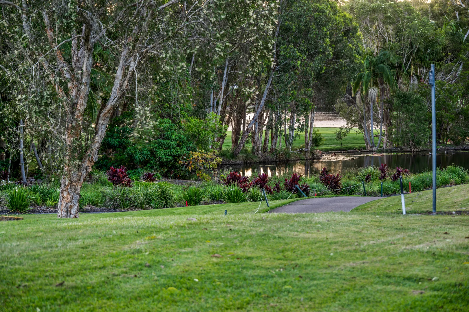 Additional image 39 of 3 Springs Cres, Noosa Heads QLD 4567