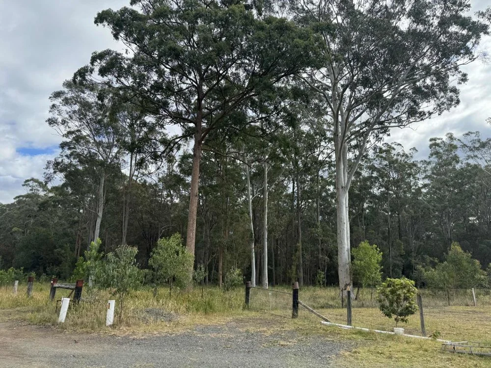 Additional image 7 of Lot 1 Inches Road, Verges Creek NSW 2440