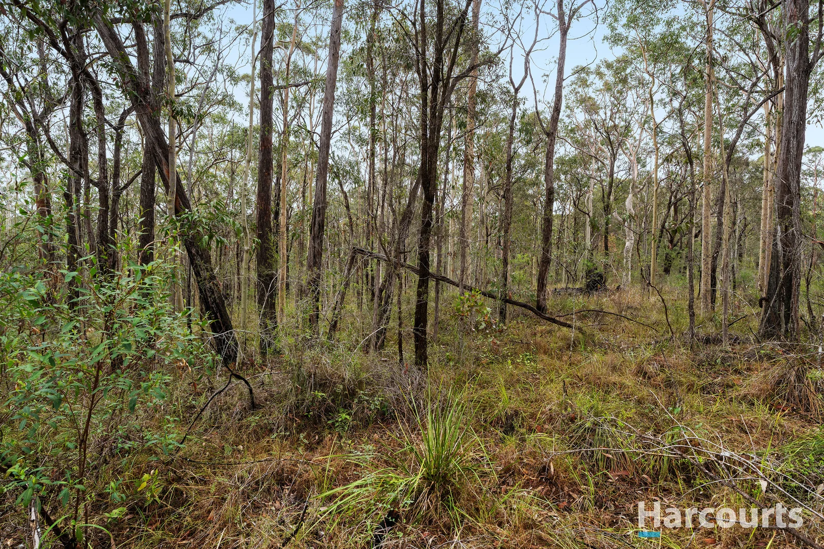 Additional image 4 of 2952 Casino Crescent, North Arm Cove NSW 2324