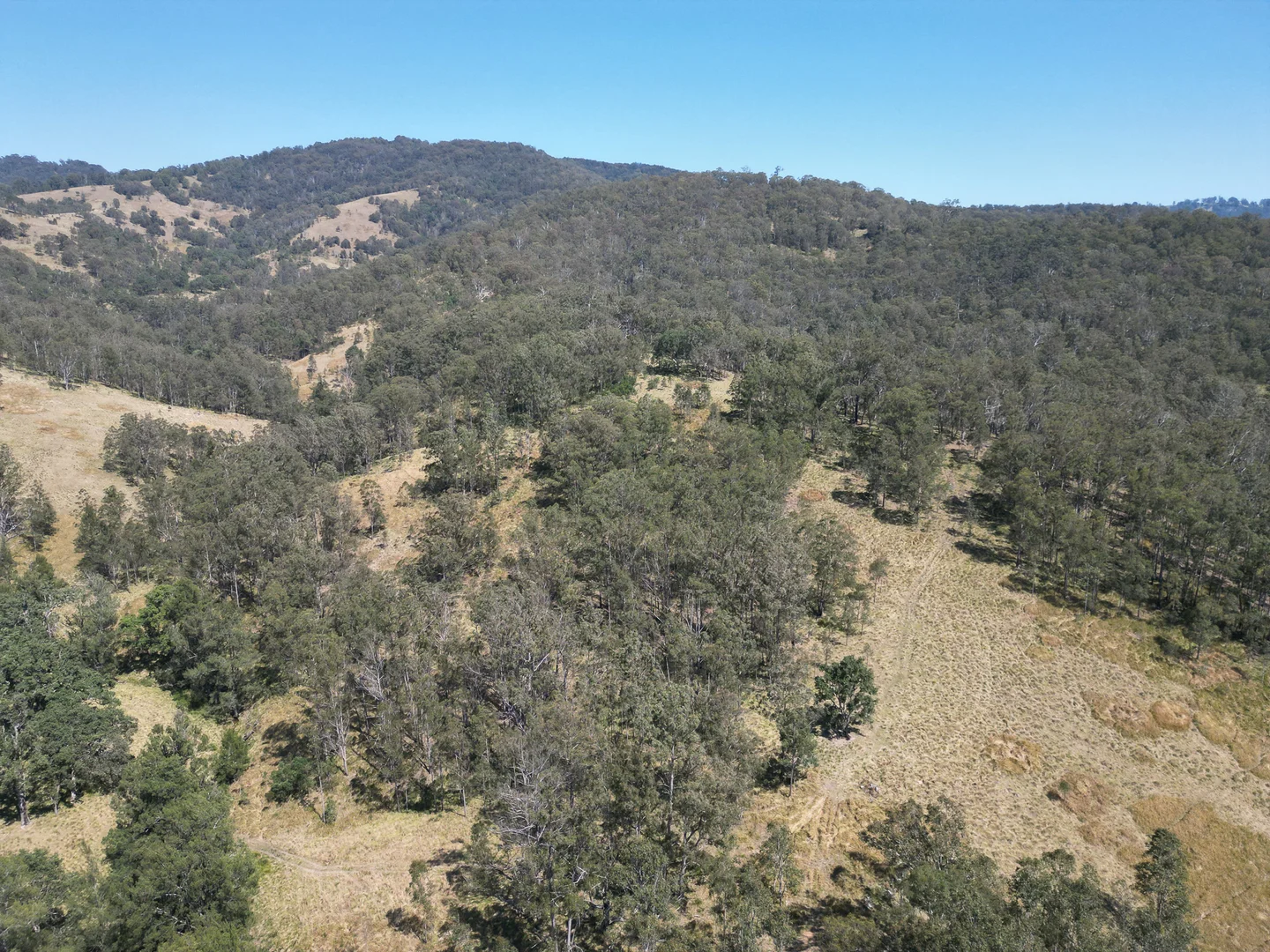 Additional image 7 of 638 Tops Road, Nowendoc NSW 2354