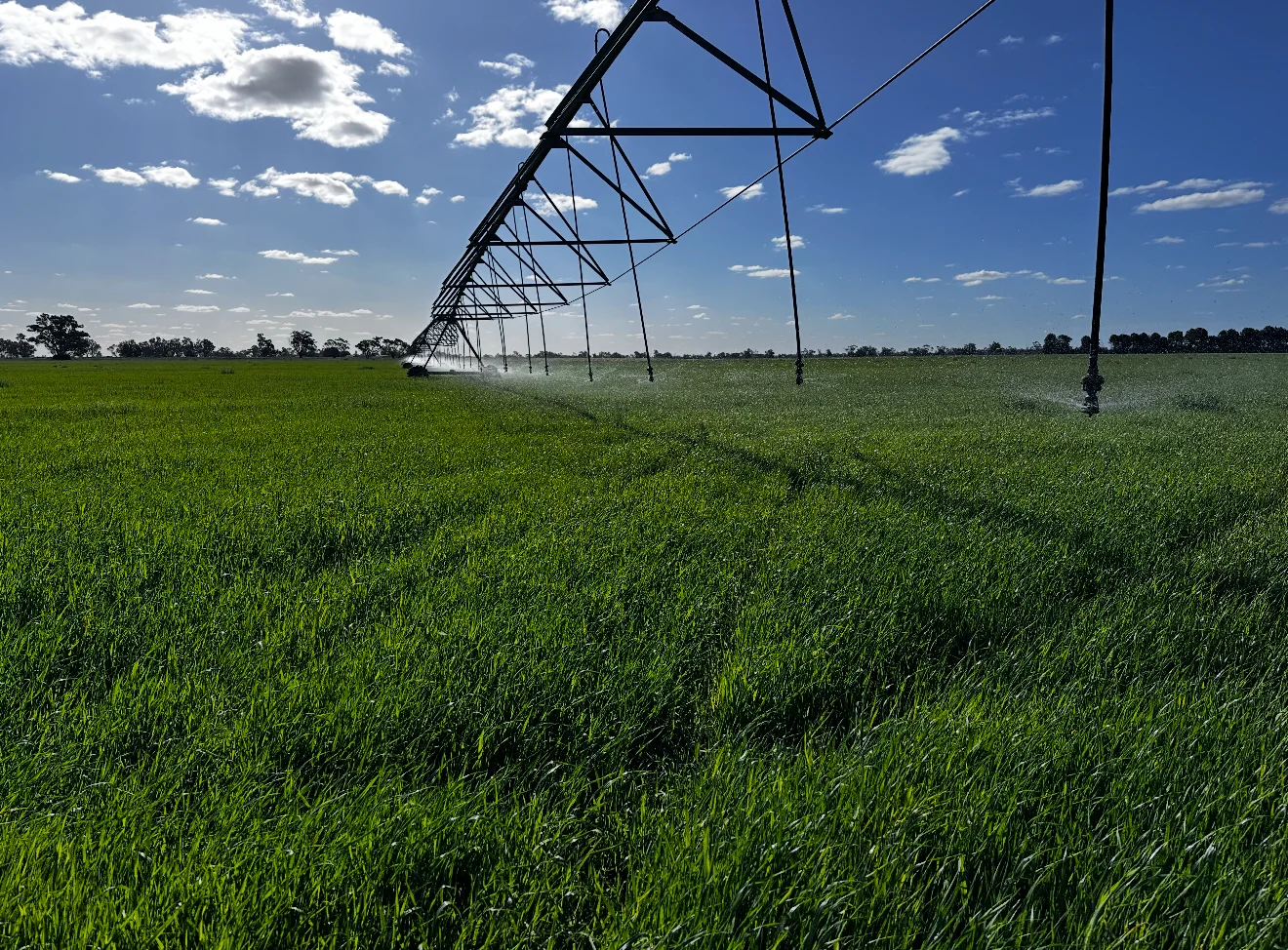 Additional image 9 of 229 Elliots Lane, Forbes NSW 2871