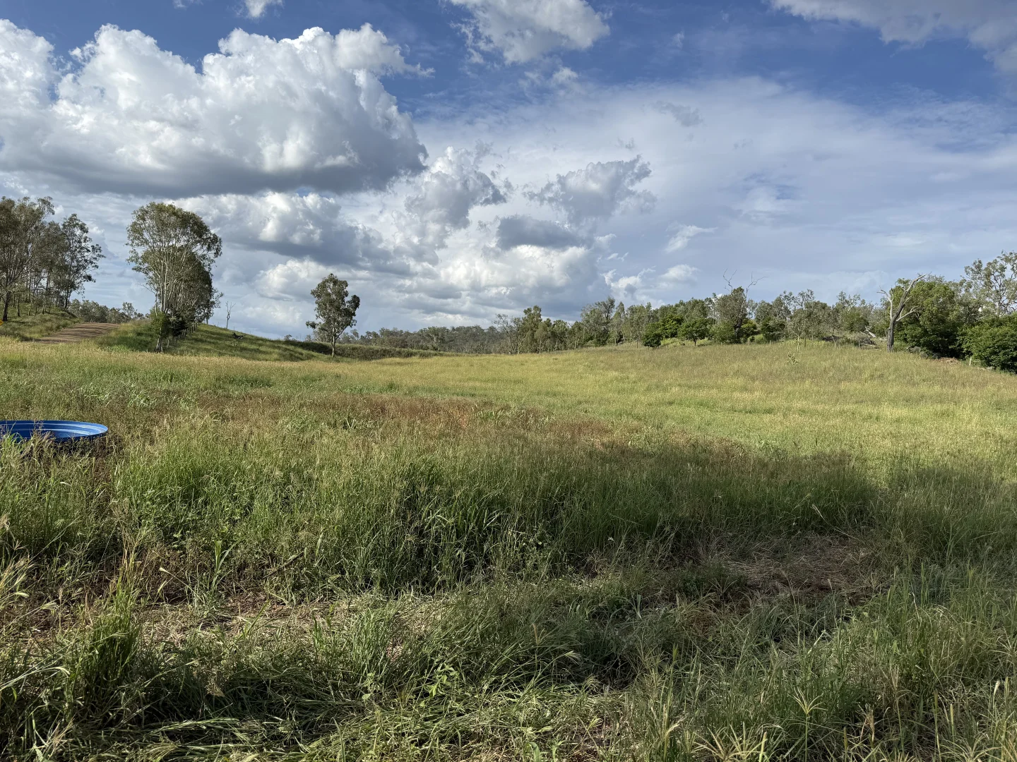 Additional image 9 of 379 Dakiel Road, Bancroft QLD 4630