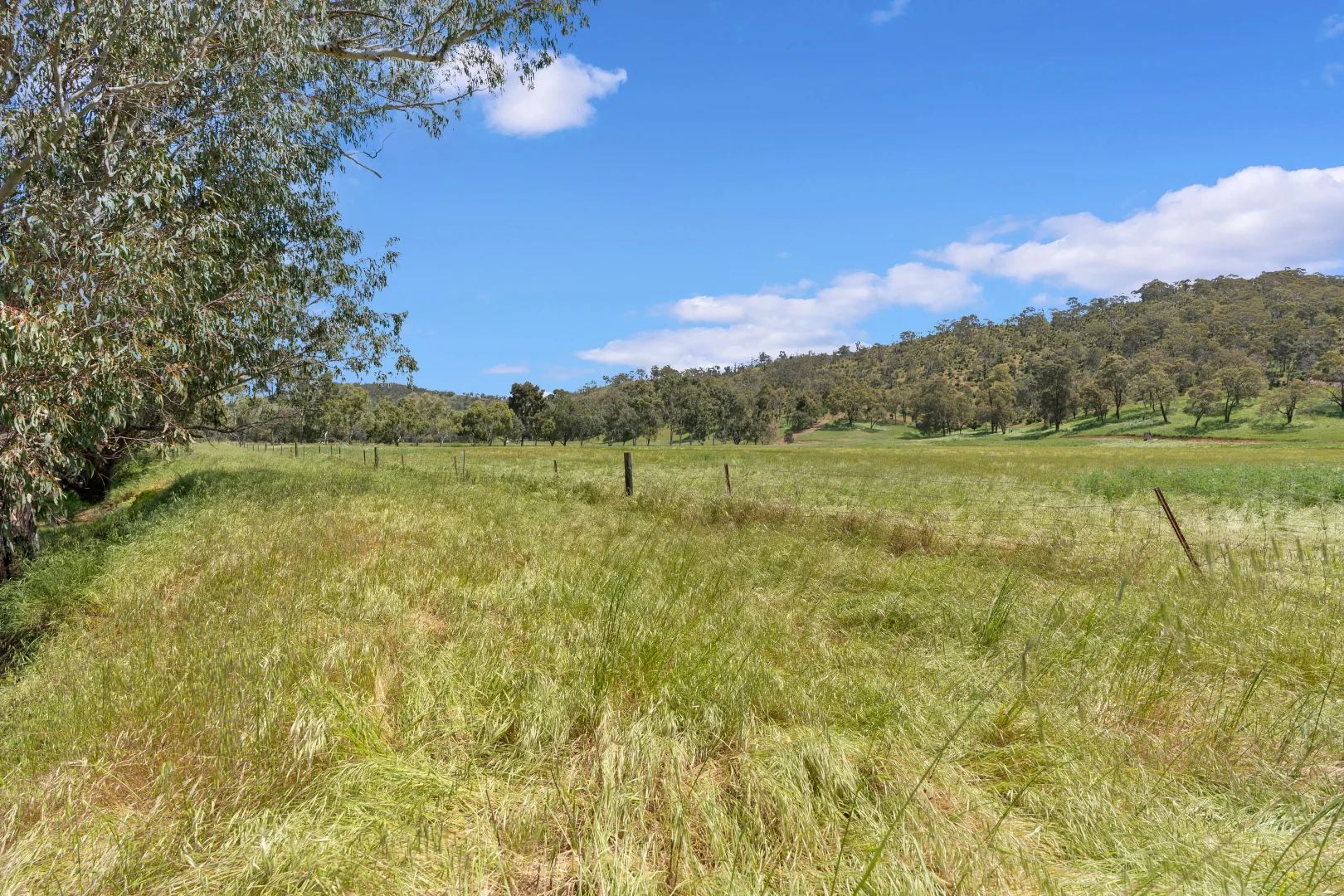 Additional image 32 of 3115 Chittering Road, Chittering WA 6084