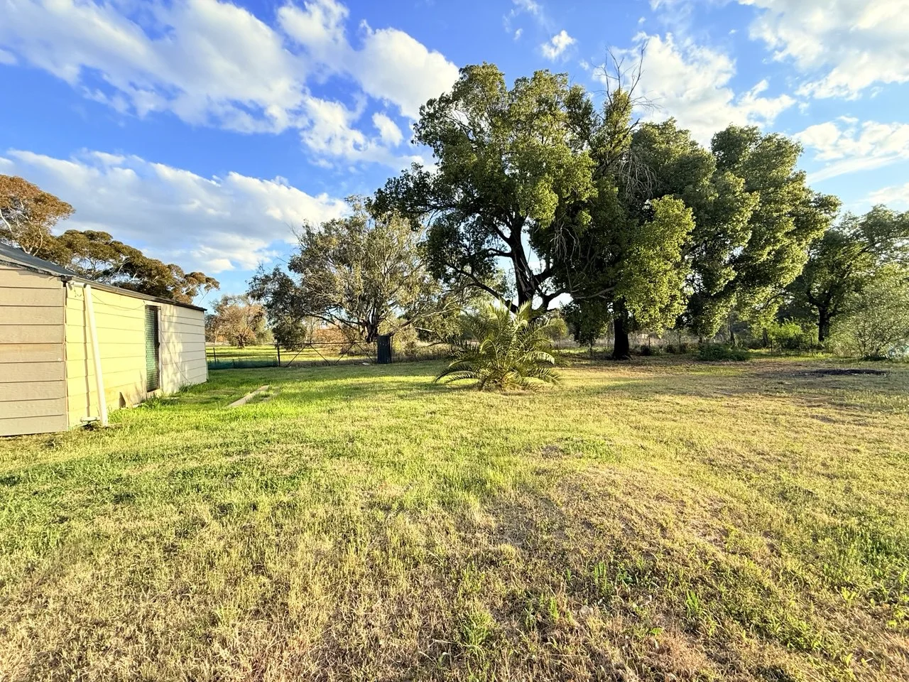 Additional image 7 of 5 Boona Street, Condobolin NSW 2877