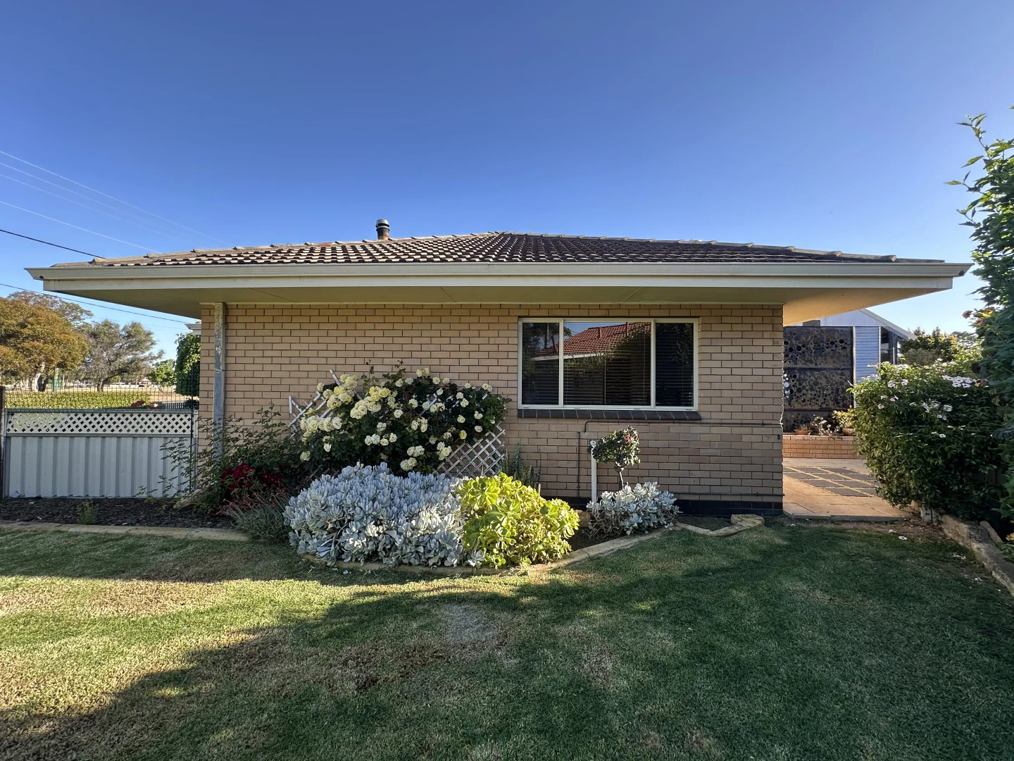 Additional image 26 of 7 Andrews Place, Katanning WA 6317