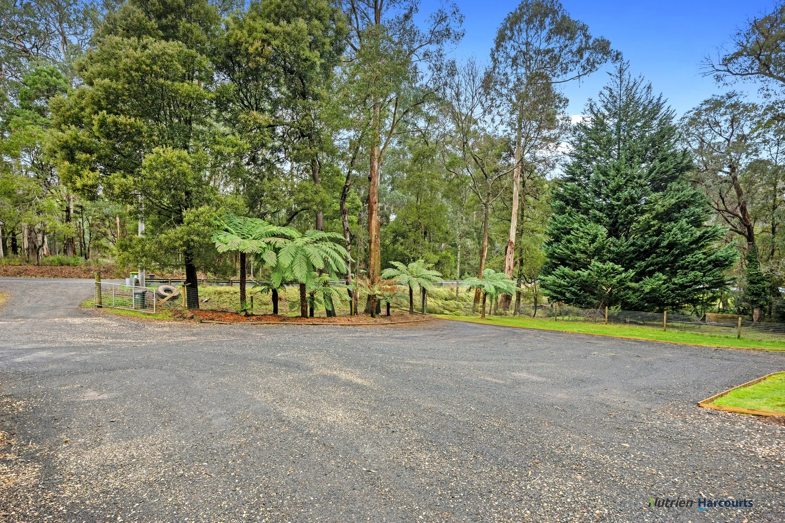Additional image 23 of 426 Maroondah Highway, Narbethong VIC 3778