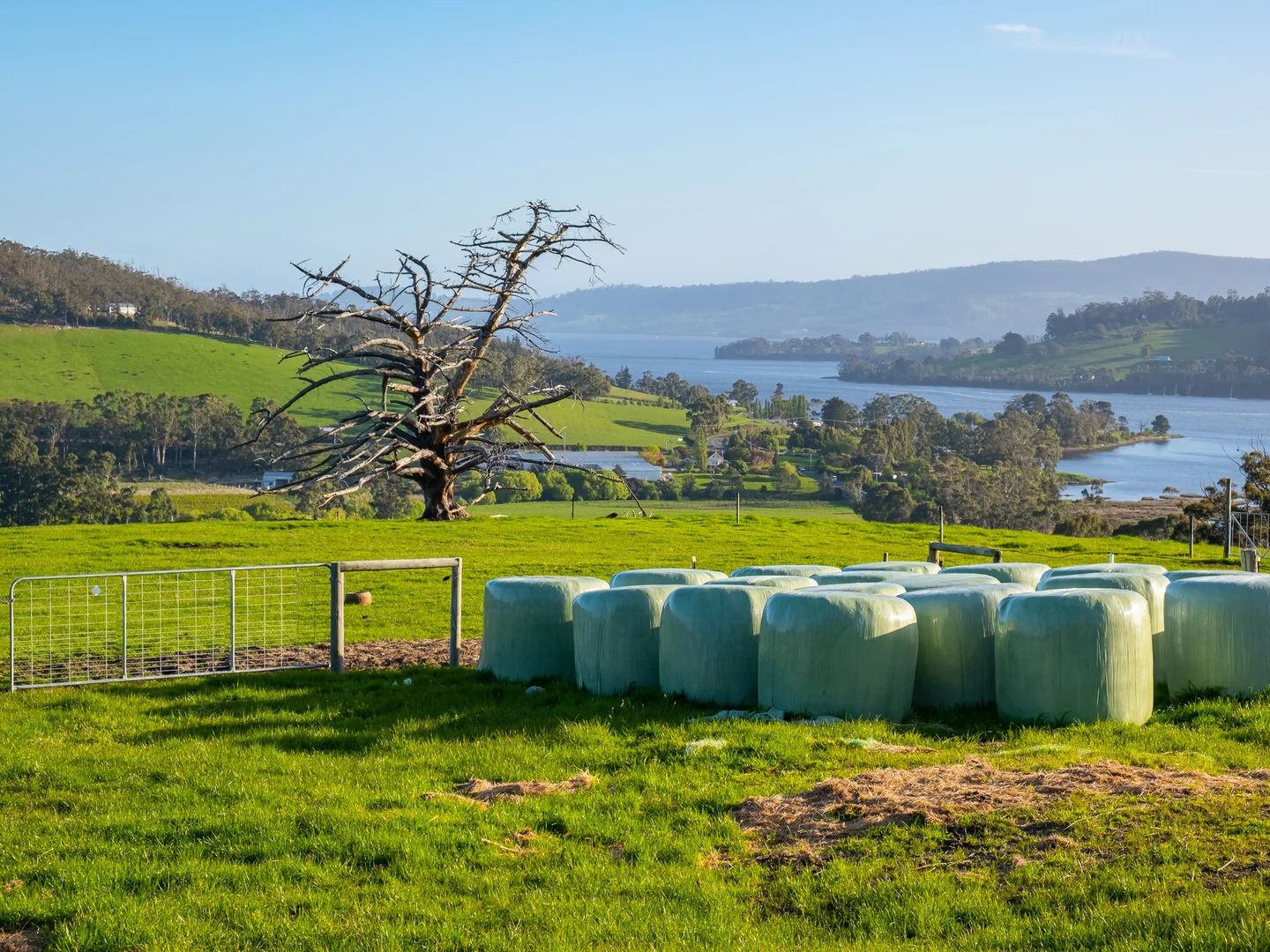 Additional image 4 of Lot 1 Winns Road, Cygnet TAS 7112