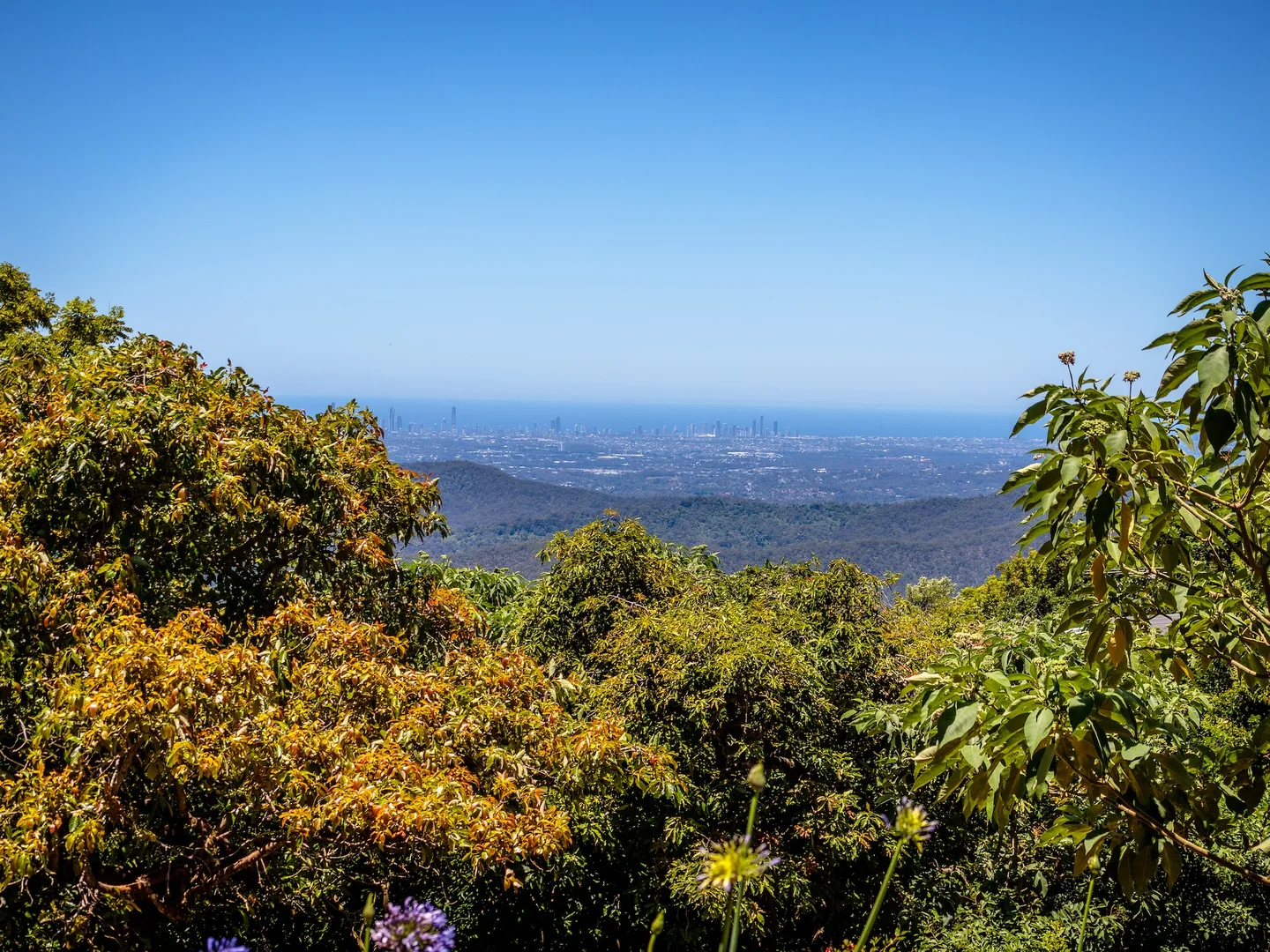 Additional image 5 of 10A Coomera Gorge Drive, Tamborine Mountain QLD 4272