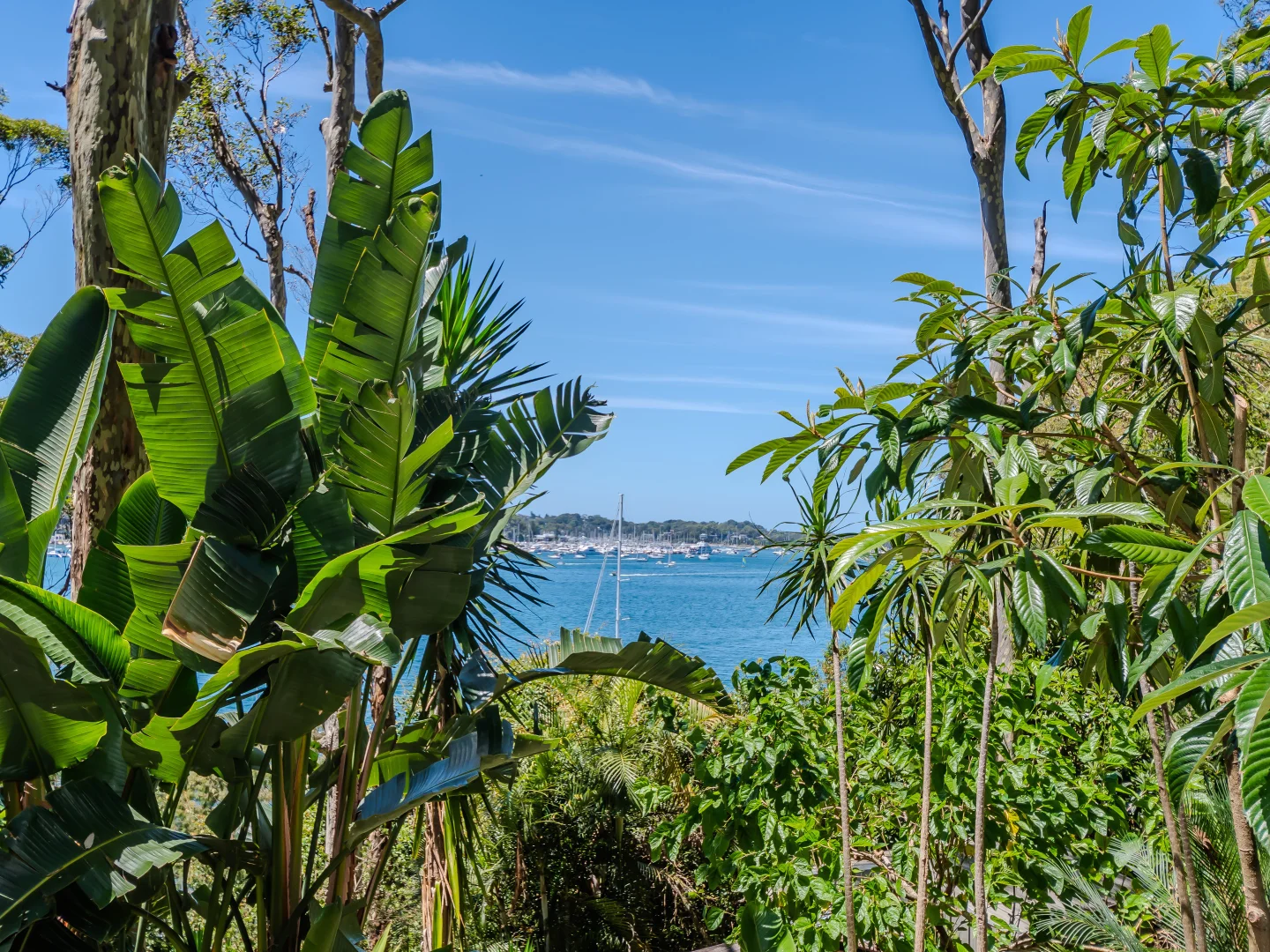 Additional image 15 of 95 Florence Tce, Scotland Island NSW 2105