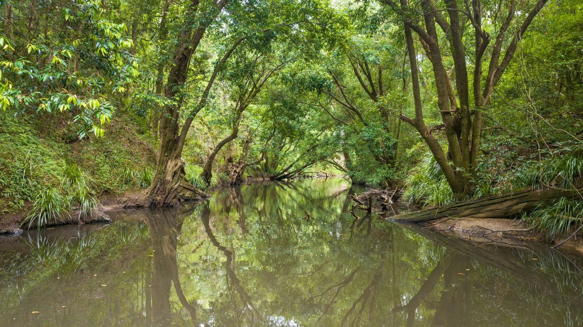 Additional image 31 of 9 Keefton Road, Kybong QLD 4570