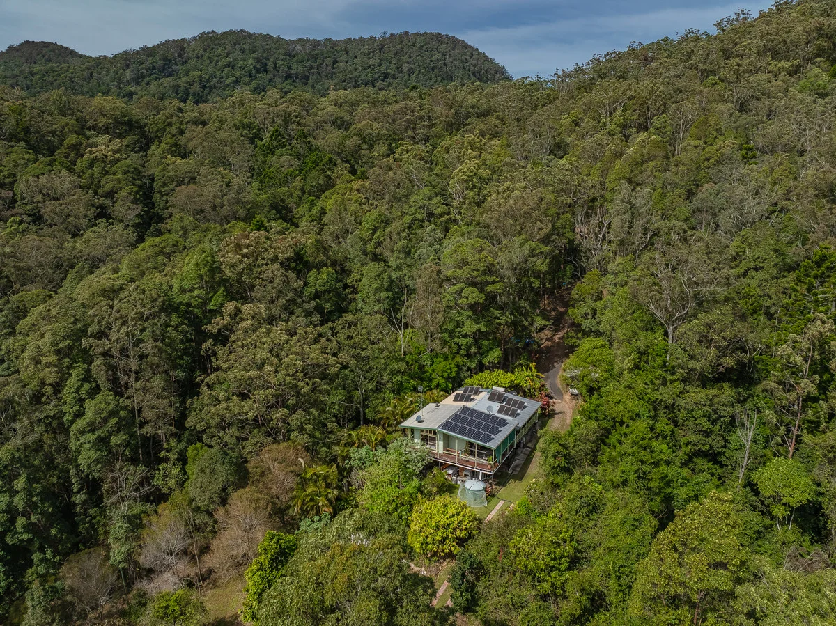 Additional image 20 of Share 38/193 Hidden Valley Road, Eungella NSW 2484