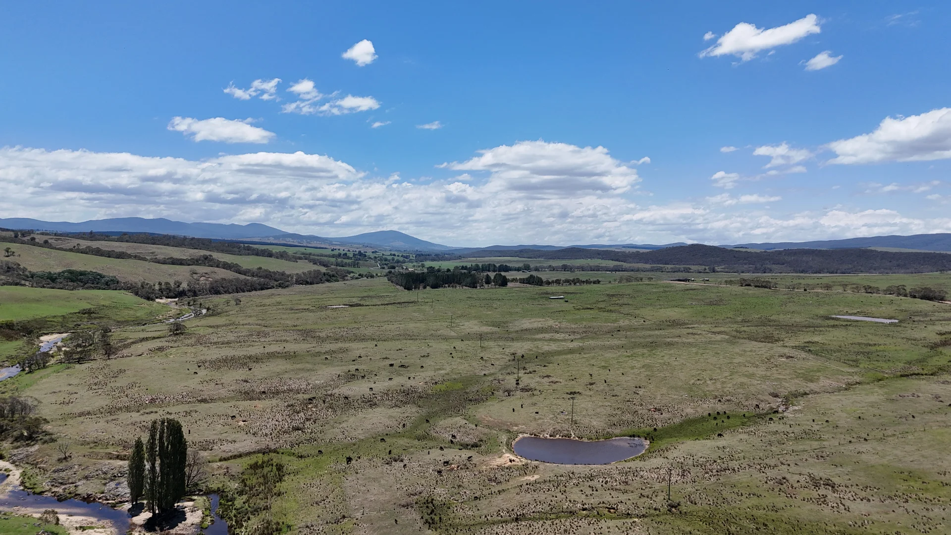 Additional image 17 of 130 Jerrabatgulla Road via Braidwood, Braidwood NSW 2622