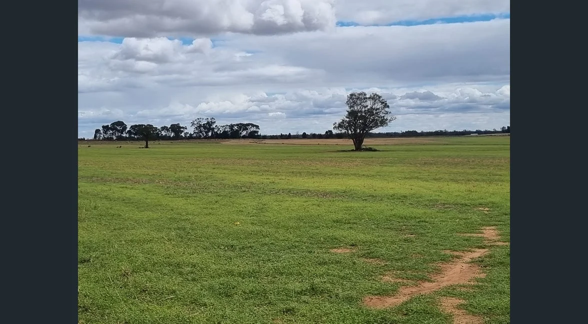 Additional image 8 of Tooraweenah NSW 2817