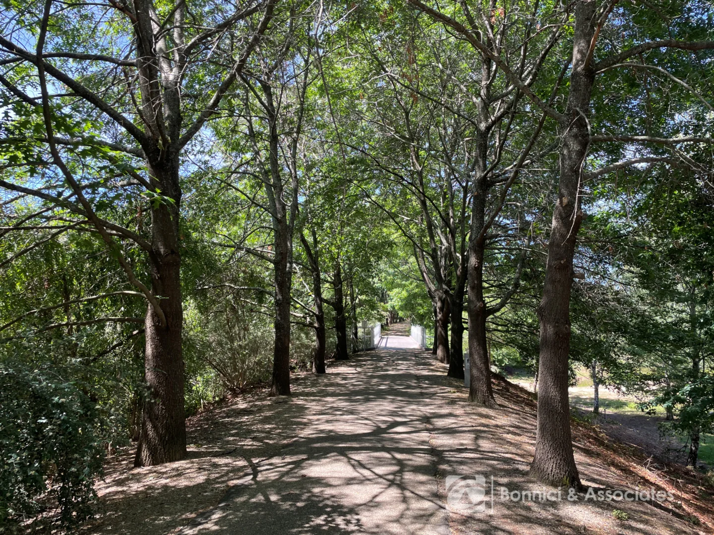 Additional image 7 of 3 Silver Court, Beechworth VIC 3747