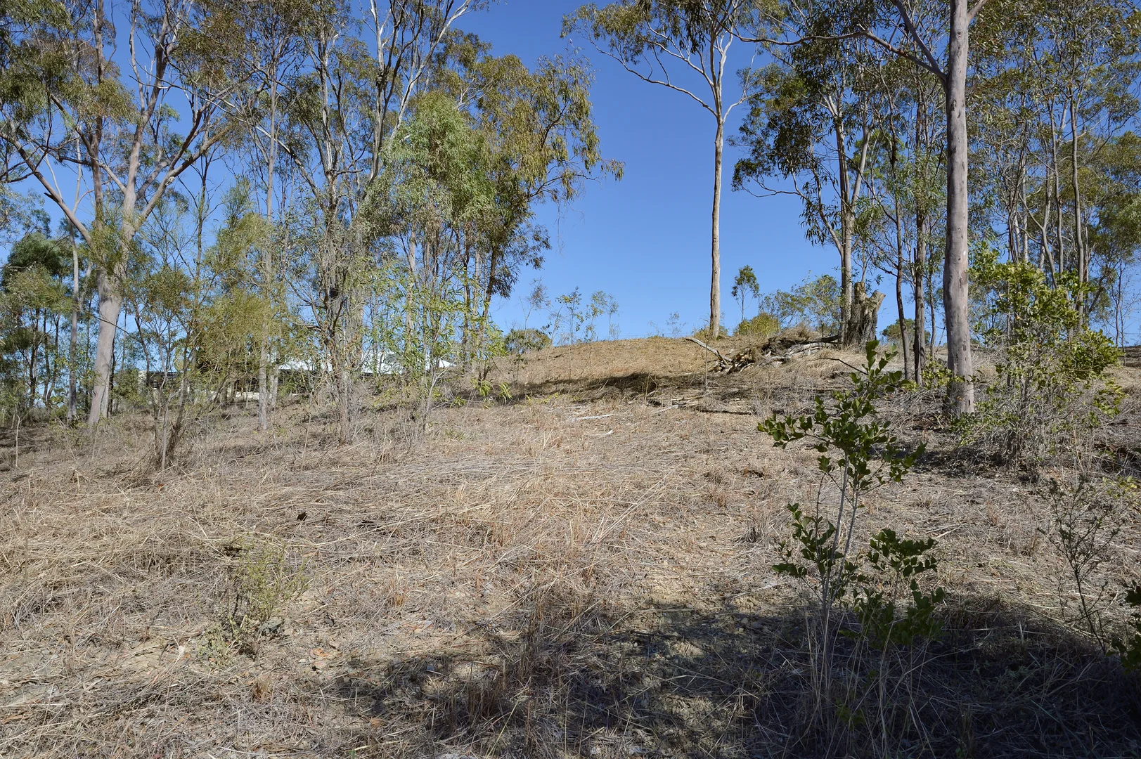 Additional image 10 of 3 Tree Tops Close, O'Connell QLD 4680