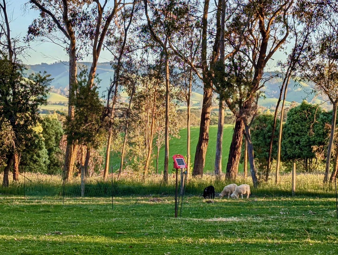 Additional image 24 of 97 Darnum-allambee Road, Darnum VIC 3822