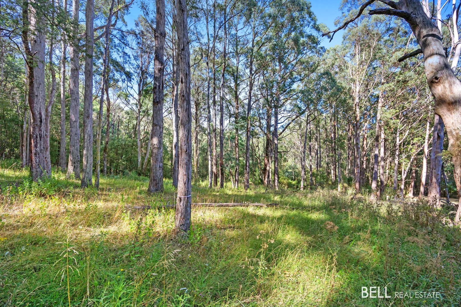 Additional image 7 of 400 Old Warburton Road, Warburton VIC 3799