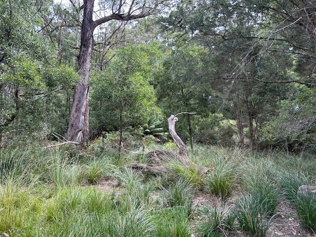 Additional image 12 of 20 Nitida Drive, Scotchtown TAS 7330