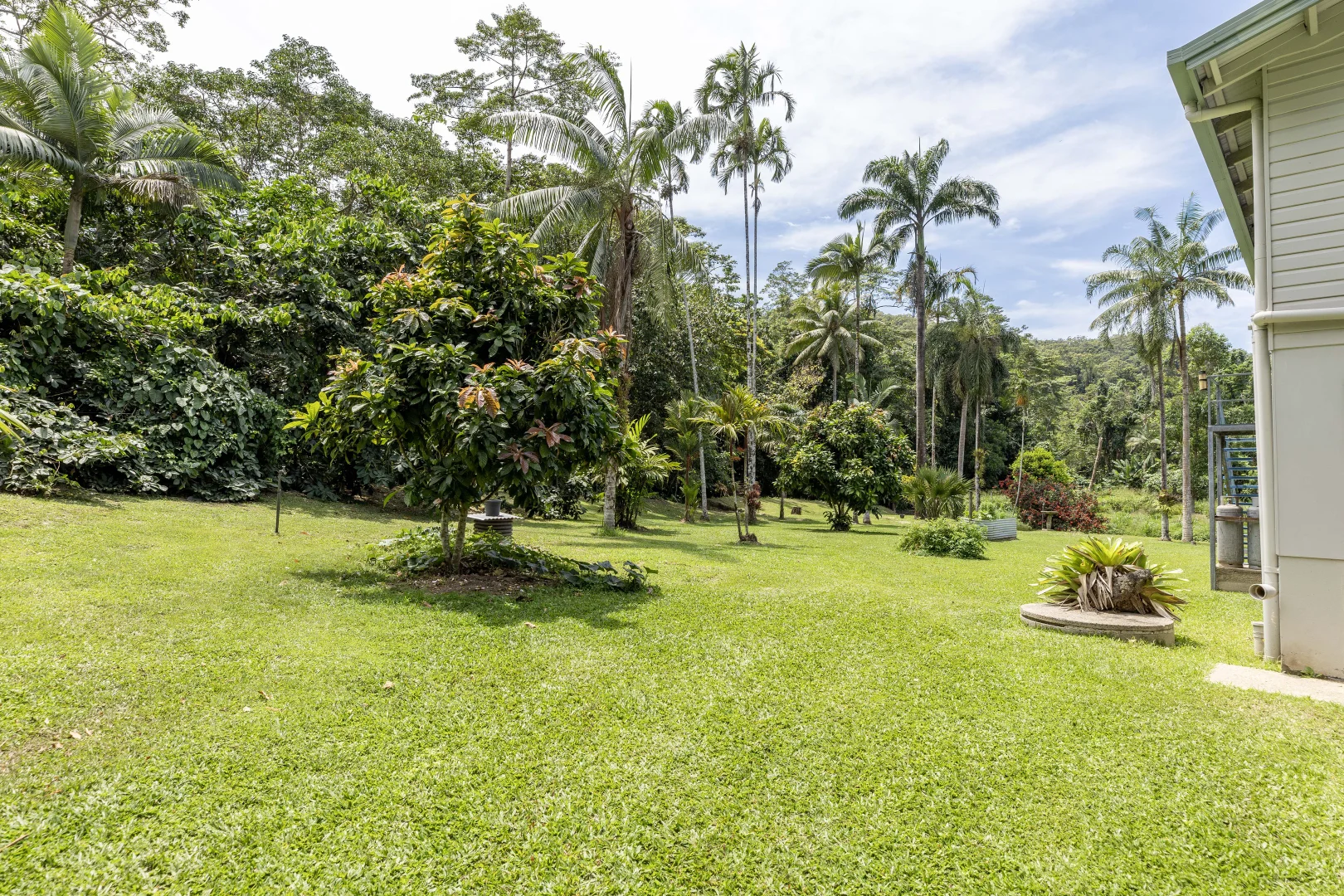 Additional image 33 of 516 Whyanbeel Road, Whyanbeel, Mossman QLD 4873