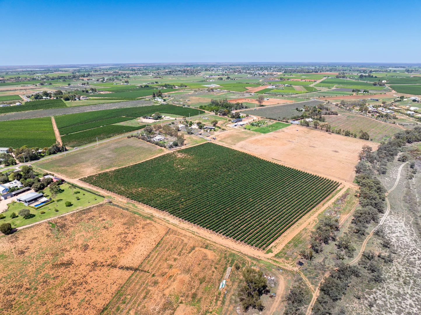 Additional image 6 of Lot 2 Buloke Street, Red Cliffs VIC 3496