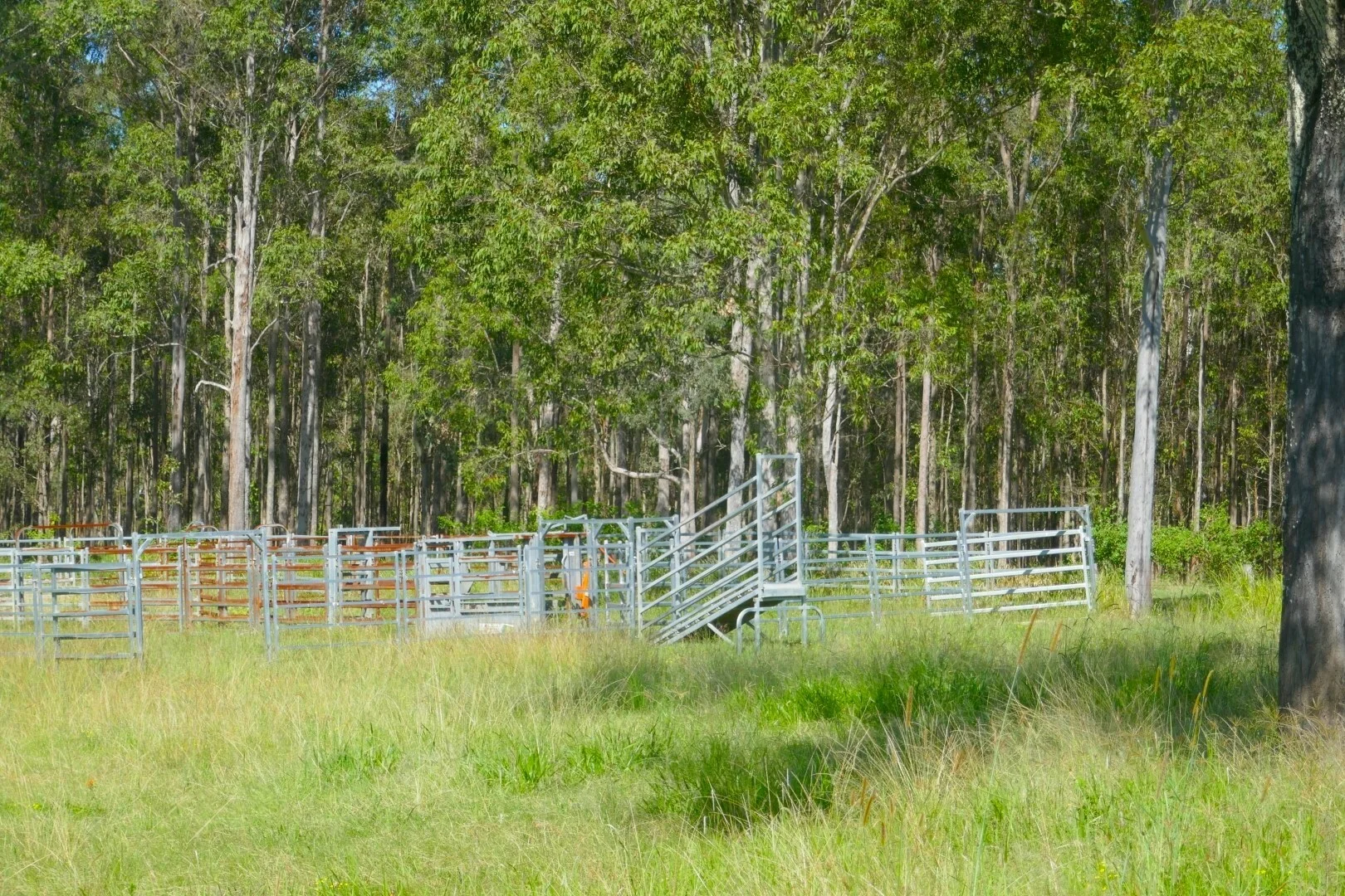 Additional image 6 of 600 Old Dyraaba Road, Casino NSW 2470