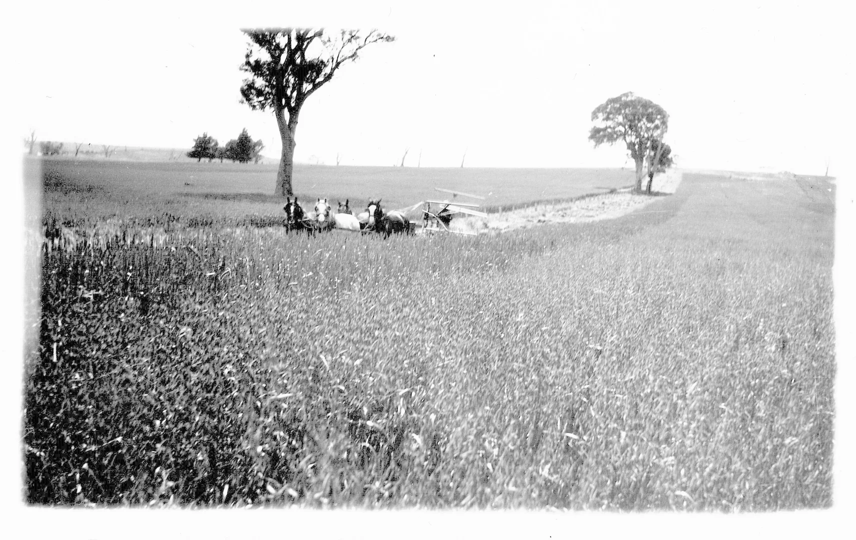 Additional image 28 of Lot 20 & 21 Newman Road, Charleston SA 5244