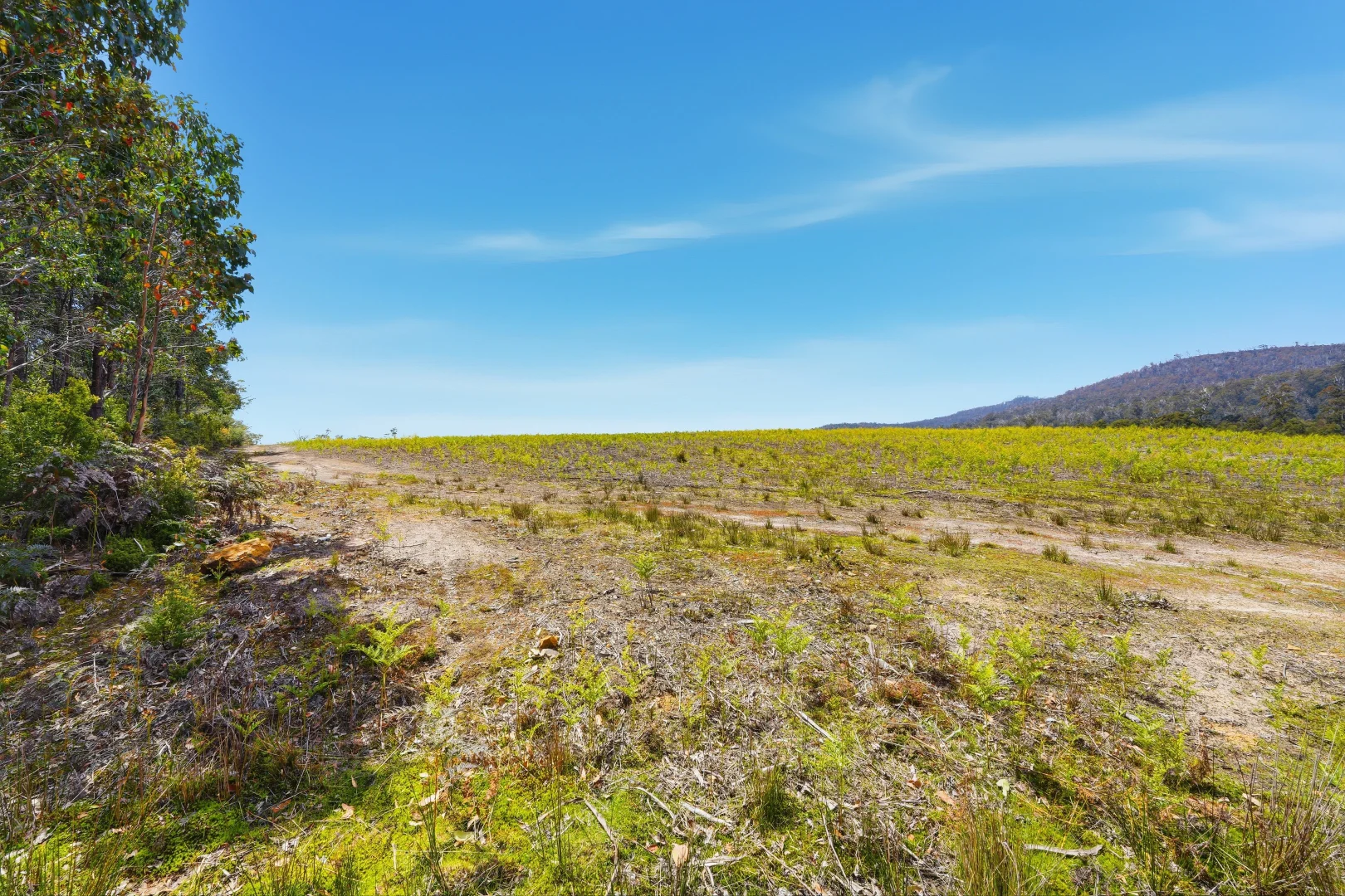 Additional image 16 of 319 Yearsley Road, Broadmarsh TAS 7030