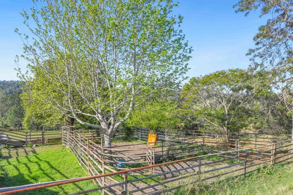 Additional image 22 of 353 Rhones Creek Road, Talarm NSW 2447