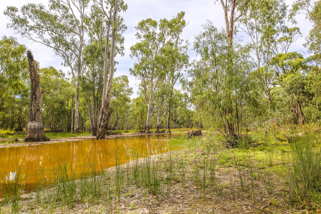 Additional image 11 of Lot 19, 20, 23 & 24 - 650 Yarraman Road, Moama NSW 2731