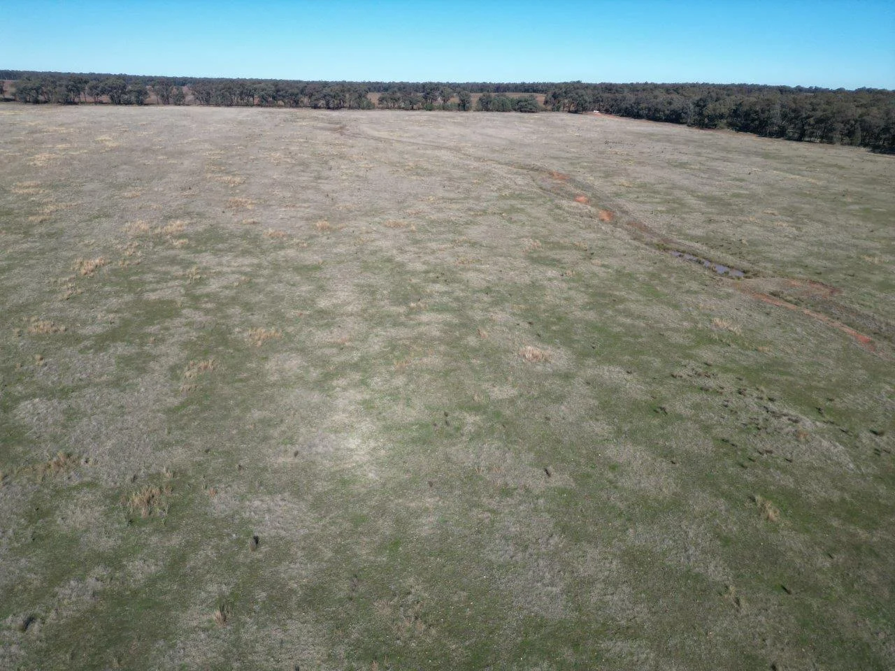 Additional image 9 of 977 Schmidts Road, Temora NSW 2666