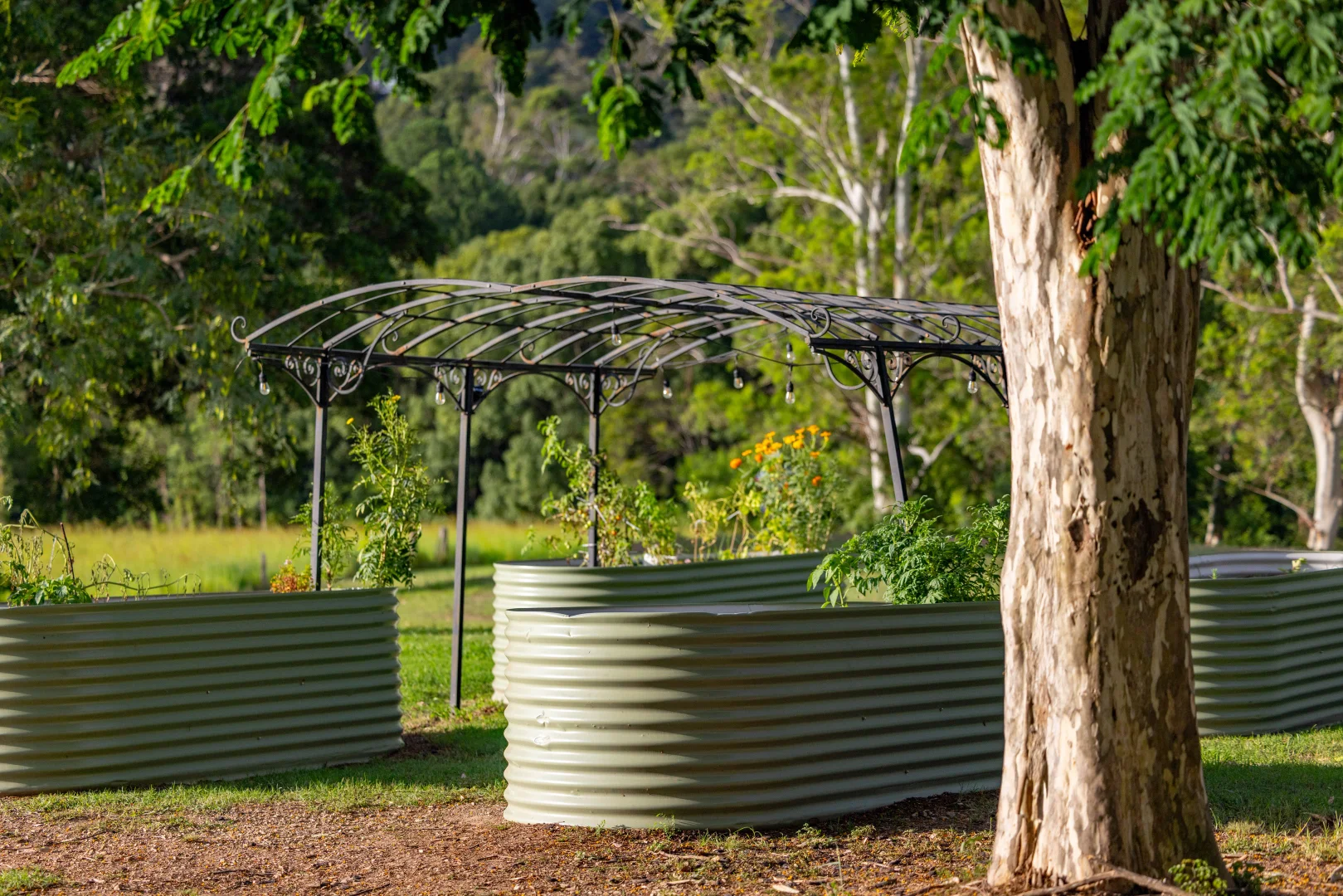 Additional image 18 of 60 Ironstone Creek Road, Tuchekoi QLD 4570