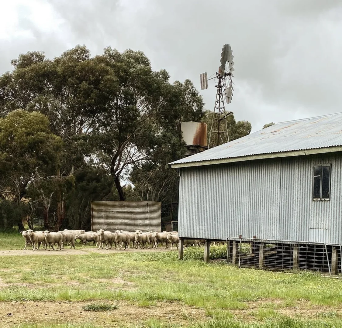 Additional image 24 of Lot/11 Casterton Apsley Road, Apsley VIC 3319