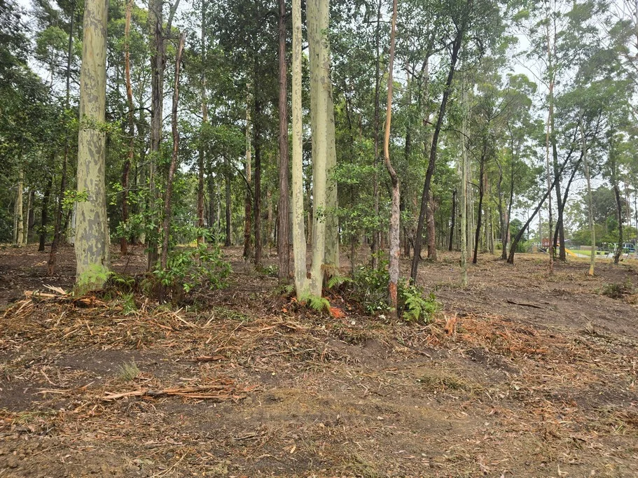 Additional image 3 of 9 JERBERRA ROAD, Tomerong NSW 2540