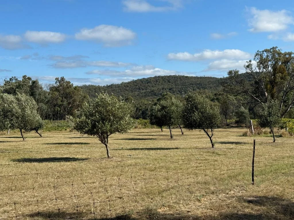 Additional image 7 of 149 Horans Gorge Rd, Fletcher QLD 4381