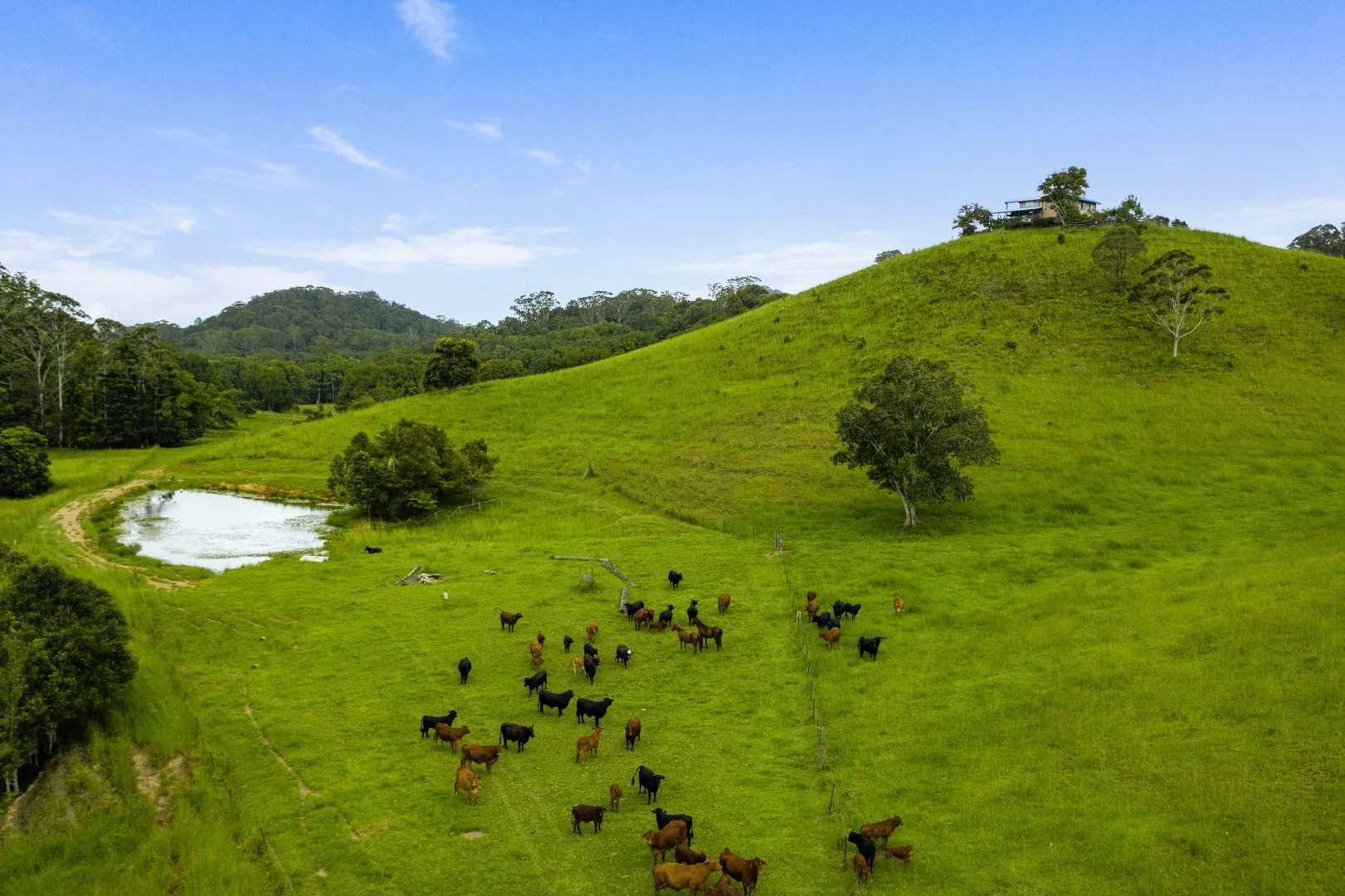 Additional image 25 of 6 Ringtail Road, Stokers Siding NSW 2484