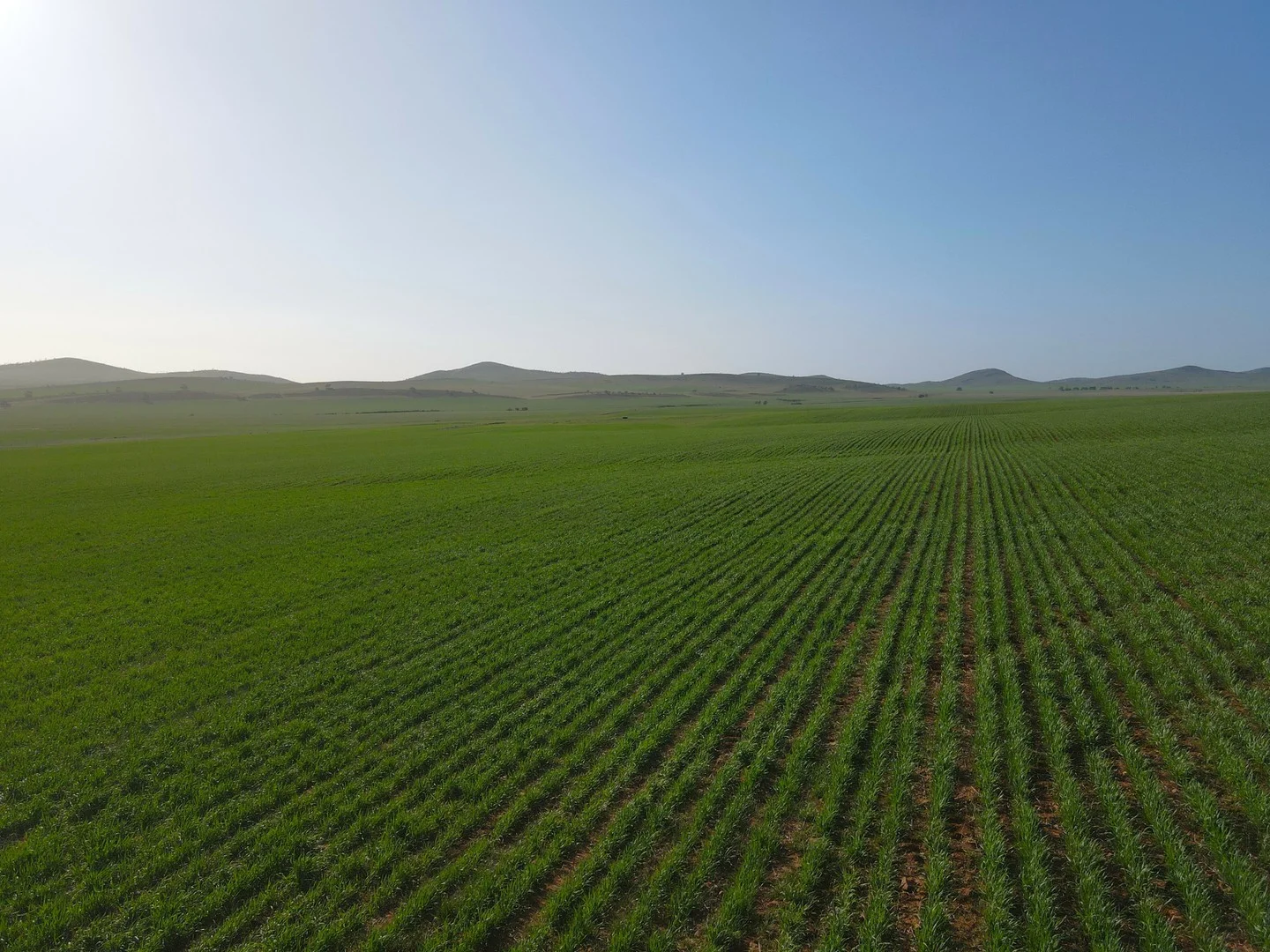 Additional image 3 of 274E Melrose Road, Pekina SA 5431